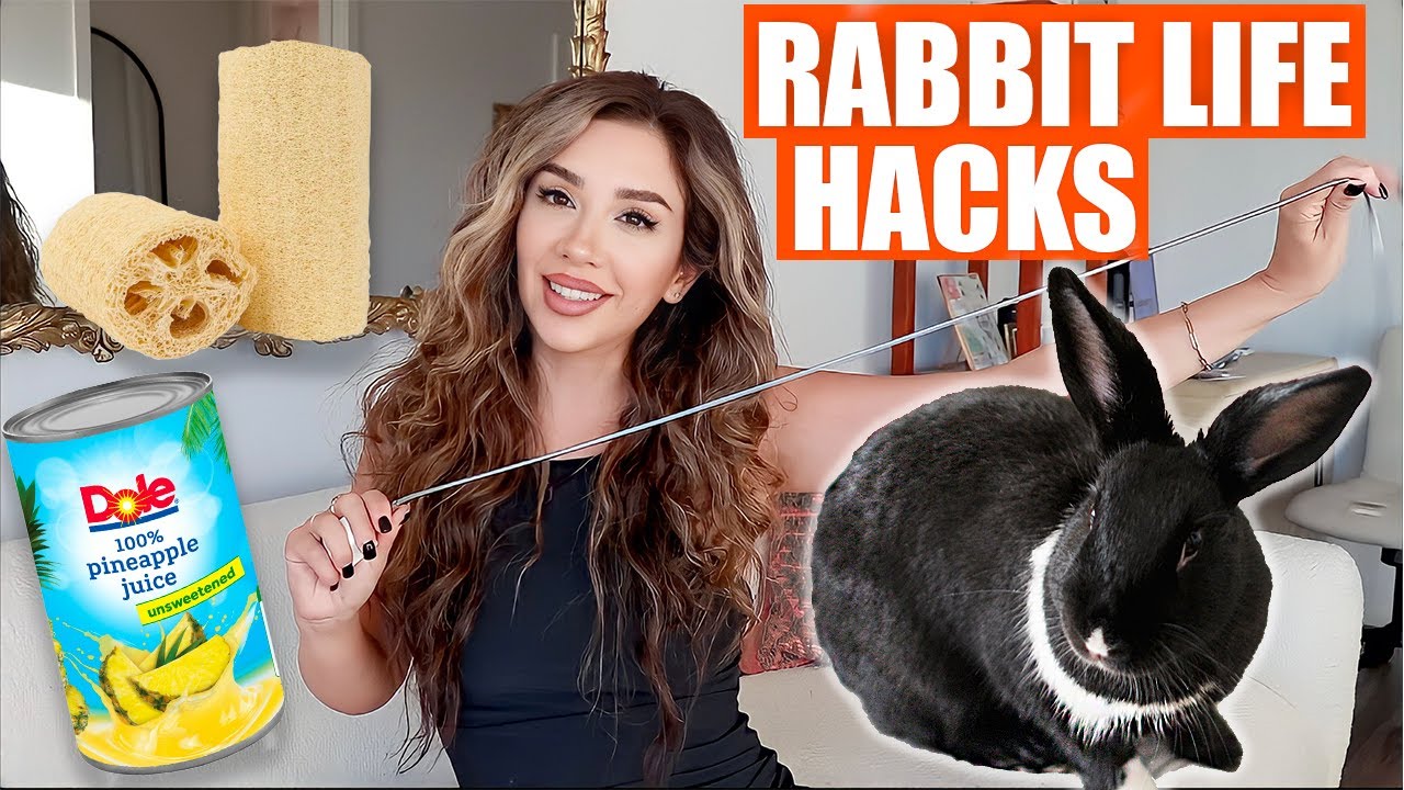 8 Life Saving Rabbit Hacks You NEED to Know!
