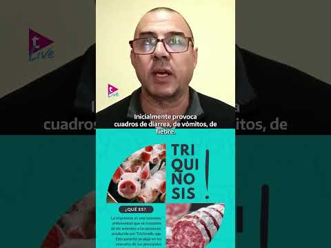 Triquinosis refuerzan controles en General Madariaga y mantiene la vigilancia sanitaria en la región