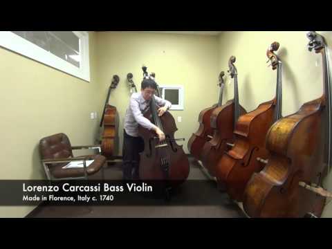 [Kolstein Bass Review] Playing evaluation of the Lorenzo Carcassi Bass Violin