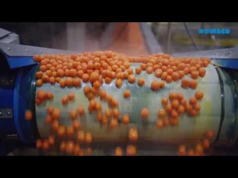 NOWACO A/S - Company Movie VEGATABLE