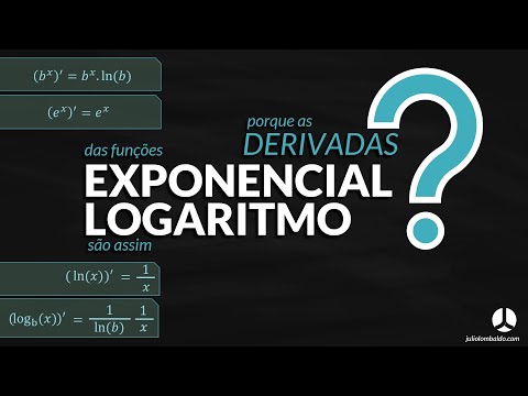 Por que as derivadas de Exponencial e Logaritmo são assim ?!