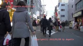 preview picture of video 'Japan Trip 2015 Tokyo  Walking on Sugamo 05 Togenuki Jizo-dori Shopping Street'