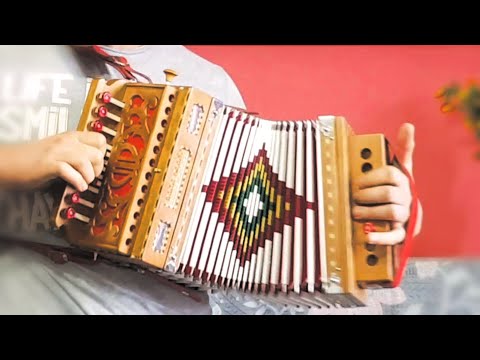 Tarantella calabrese organetto - Marco Bartone