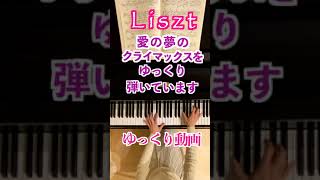 Download lagu 【愛の夢 ゆっくり動画/リストLiszt 】ピアノ mp3 Download lagu 【愛の夢 ゆっくり動画/リストLiszt 】ピアノ mp3