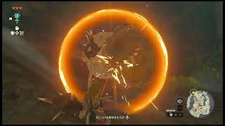 The Legend of Zelda: Tears of the Kingdom ：ゼルダの伝説　ティアーズ オブ ザ キングダム　Playing movie ⑩