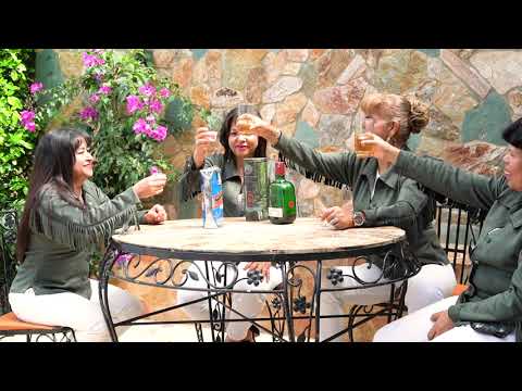 VIDEO OFICIAL LLEGÓ DICIEMBRE GRUPO MERYMAR