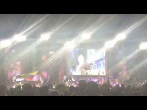 Porter Robinson- animals (Martin garrix) (live from tomorrowWorld)