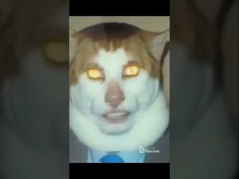 Scary jumpscare. #avee_player #comedyeffect #localstarbinit