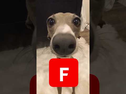 Veshremy Clone Tier List