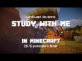 Study With Me In Minecraft Windswept Savanna 25 5 Pomodoro Timer 2hr 4K