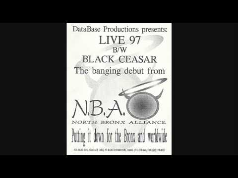 North Bronx Alliance - Black Caesar
