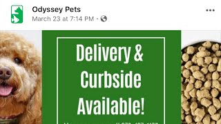 Live with Odyssey Pets Located in Dallas, Texas
