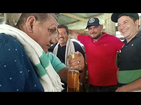 Feria Ganadera en Vergara Cundinamarca. Abril 2024.