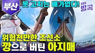 [부산광역시] 못 고치는 🚢 배가 없다는 위험천만한 조선소 깡 하나로 버텨온 깡깡이 아지매 | 고향민국 | #방방곡곡