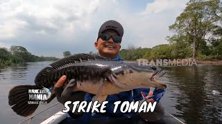 Download lagu Sensasi Tarikan Kuat Toman Babon | MANCING MANIA STRIKE BACK (19/10/25) Part 1 mp3 Download lagu Sensasi Tarikan Kuat Toman Babon | MANCING MANIA STRIKE BACK (19/10/25) Part 1 mp3