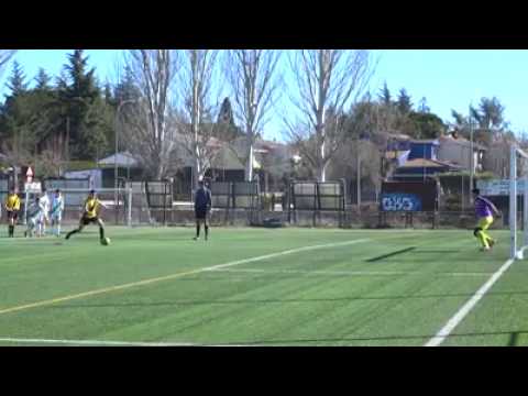 16972709 387294828313715 3862718510270513152 n