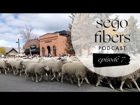 Sego Fibers Knitting Podcast, Episode 7: WIPs, Yarn Dyeing, and Trailing of the Sheep Preview