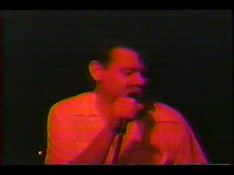 Hollywood Fats With James Harman Band