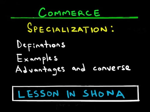 Specialization | Lesson 1:3 | Commerce | ZIMSEC | Topic 1: Introduction to Commerce