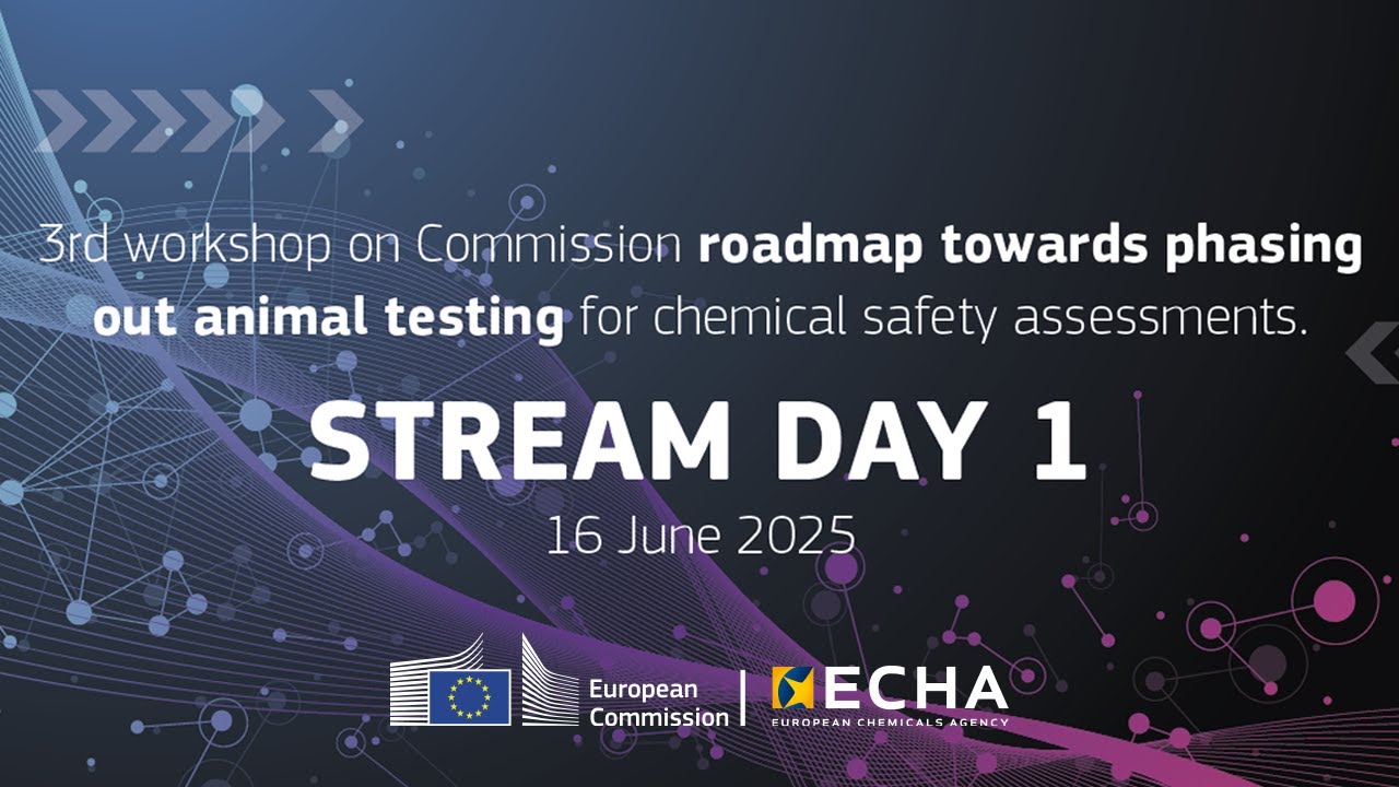 DAY 1: Workshop on roadmap to phase out animal testing for chemical safety assessments