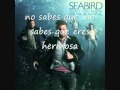 SEABIRD- dont you know you´re beautiful en ...