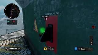 ［COD BO4]2v2