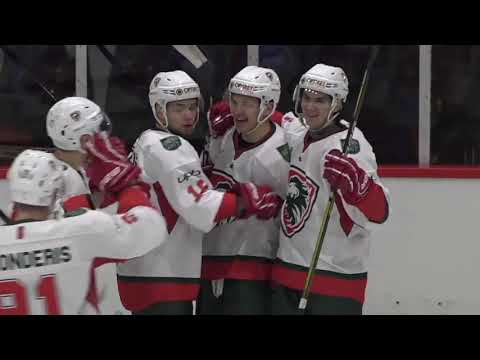 29.01.2020 OHL: Hk Zemgale/LLU - HK Liepāja highlights