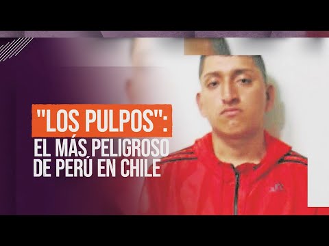 "Los Pulpos": El más peligroso de Perú en Chile #ReportajesT13