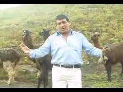 pepe minaya - anda vete chola