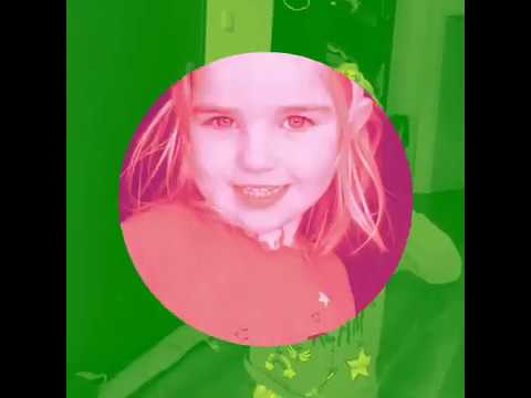 Les Sisters « le chien »