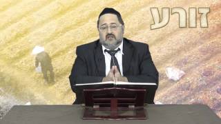 מלאכת זורע | הלכות שבת | הרב בנימין מועלם