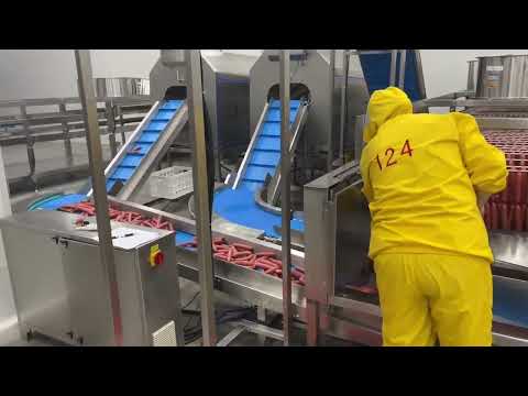 Electric sausage stuffer line