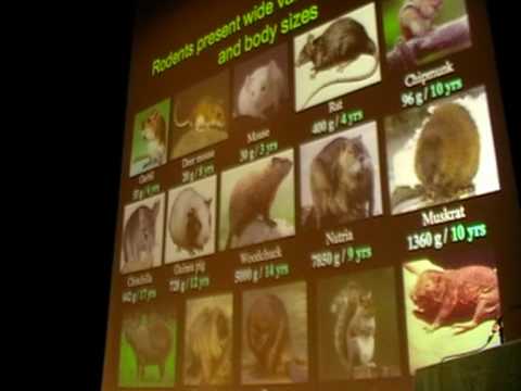 SENS4 - Evolution of Anticancer Mechanisms (1/3)