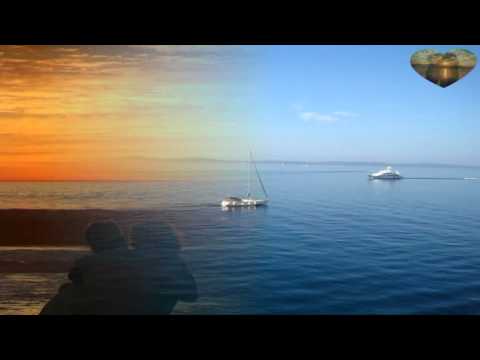 Tri prolića - Vinko Coce i Berekini