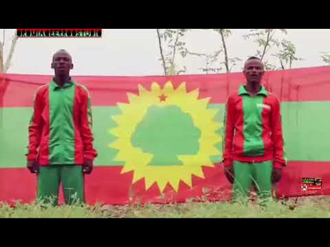 dhaaba seenaa boonsaa