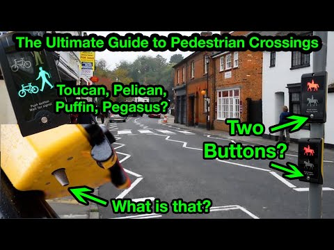 The Ultimate Guide to UK Pedestrian Crossings | Toucan, Puffin, Pelican, Zebra, Equestrian crossings