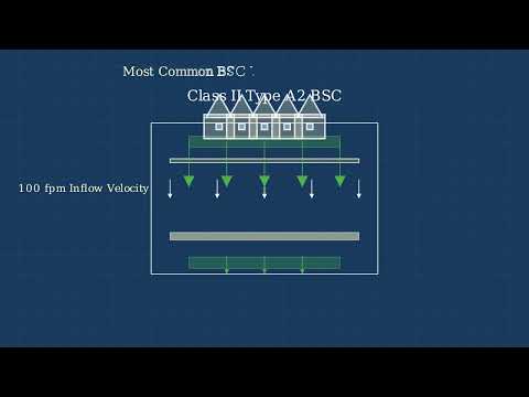 Biosafety Cabinet – Definition, Classification (Class I, II, III), Working Mechanism, Application, Features. - Video