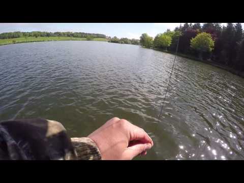 Fly fishing on a damsel booby