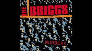 The Briggs - Voice Box