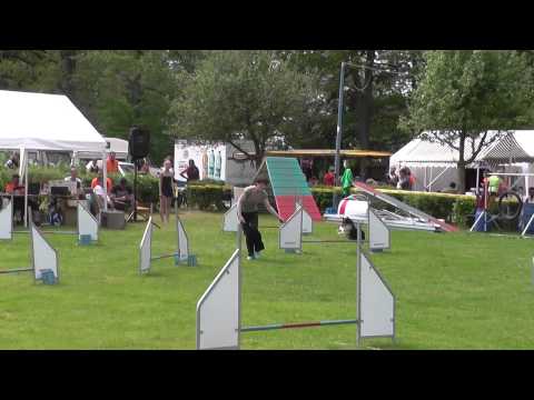 16.05.15 Robby SV OG Untergruppenbach Spiel