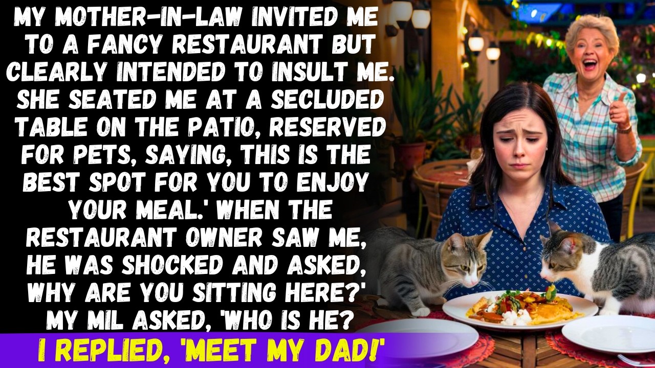 My MIL seated me at a pet table in a fancy restaurant saying, this is the best spot for you but then