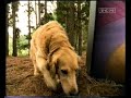 Cartoon Network TCM Handover 2 Europe 2004