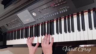 Vard Grig - Piano Mix N1 (2022)