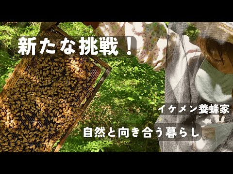 ニンニクやその他の効果的な自然療法を使って鶏の駆虫をする方法：ヒント  庭園