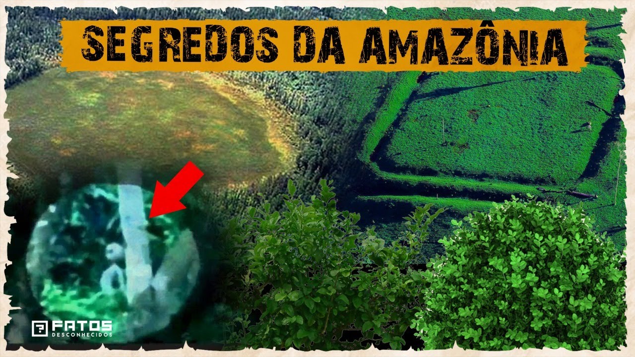 Descobertas na Amazônia que assustaram pesquisadores