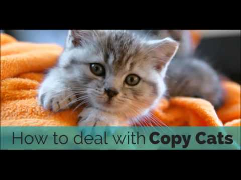 How to Deal with People Who COPY Your Style?