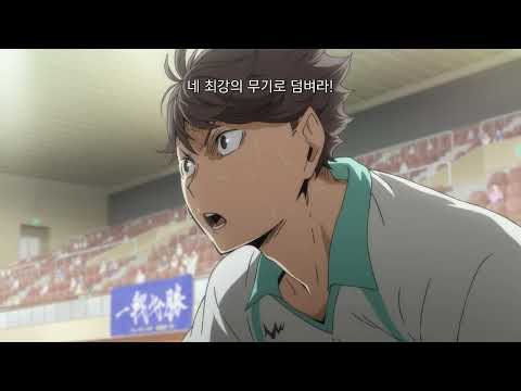 [하이큐!! 재능과 센스] 메인 예고편