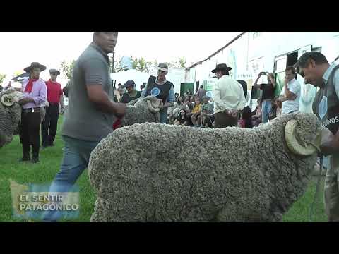 2° BLOQUE, CAPÍTULO 1231, EL SENTIR PATAGÓNICO HD, CANAL RURAL BUENOS AIRES...