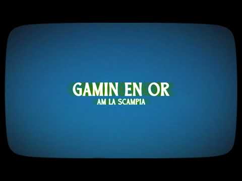 Video thumbnail for Gamin en or
