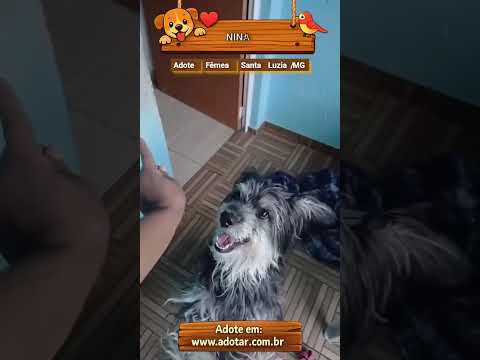 Vídeo de NINA
